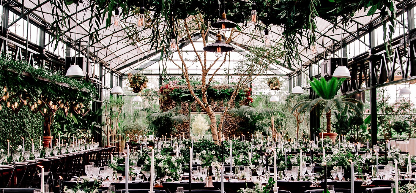 What is Bride and Tonic